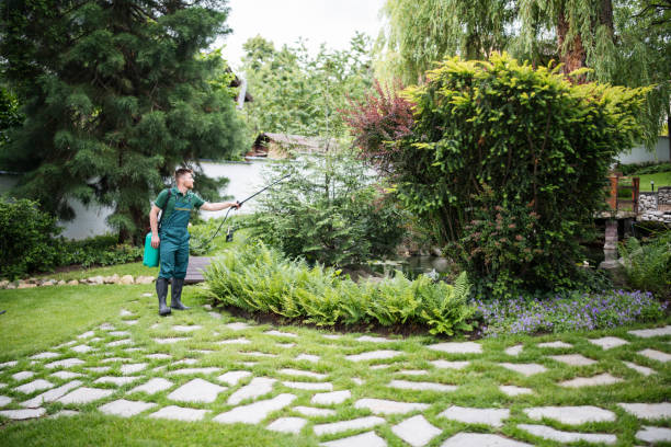 Best Exterminator Services  in Kenyon, MN